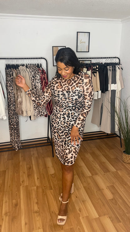 Robe à imprimé animal