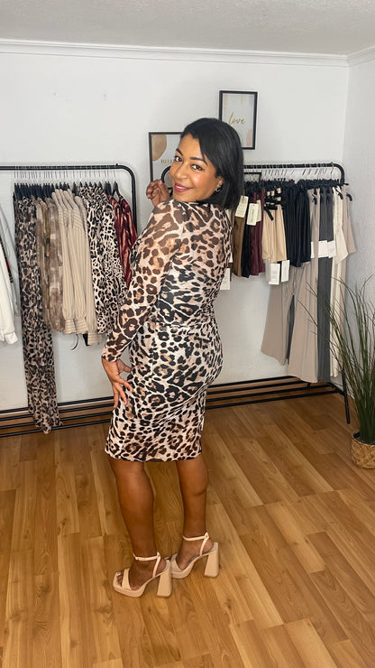 Robe à imprimé animal